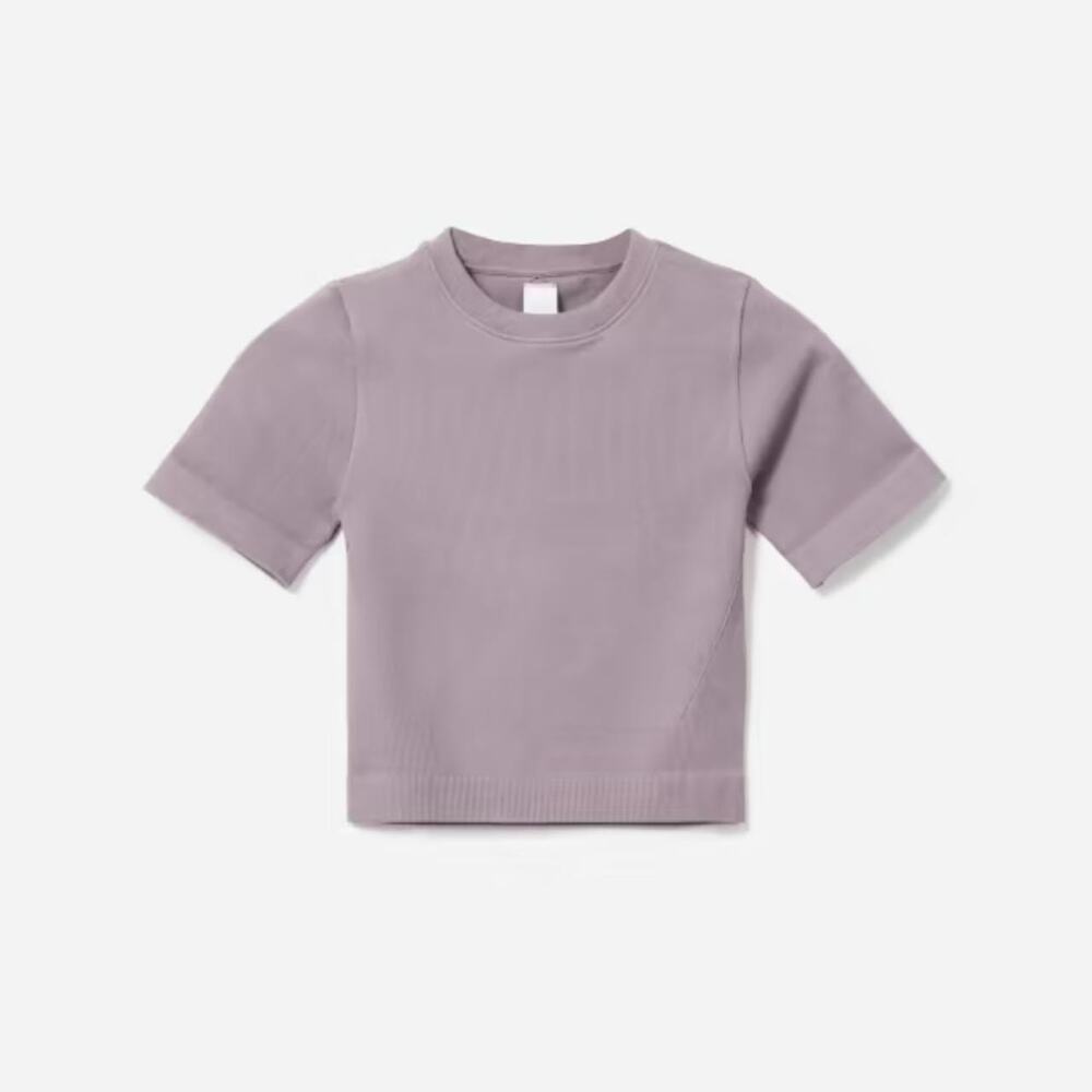 Everlane Seamless Ribbed Knit Tee Short Sleeve Crewneck Stretch Mauve Medium